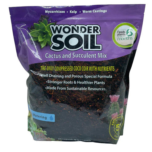 What Kind Of Soil For Cactus